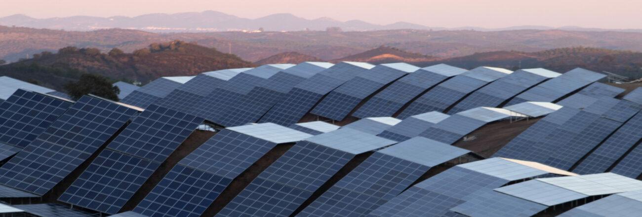 solar panels in a field