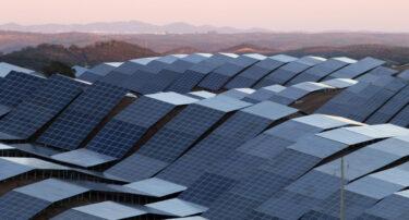 solar panels in a field